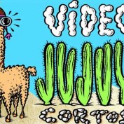 Jujuy Cortos